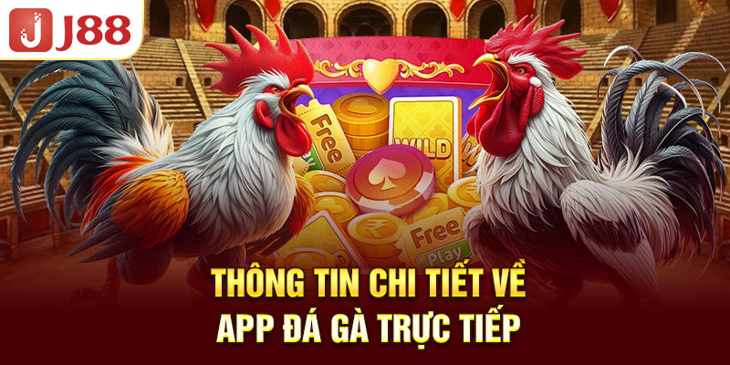 thong-tin-chi-tiet-ve-app-da-ga-truc-tiep