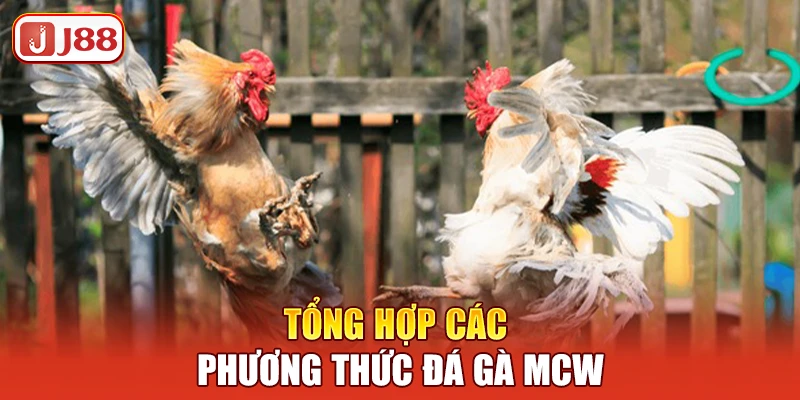 tong-hop-cac-phuong-thuc-da-ga-mcw